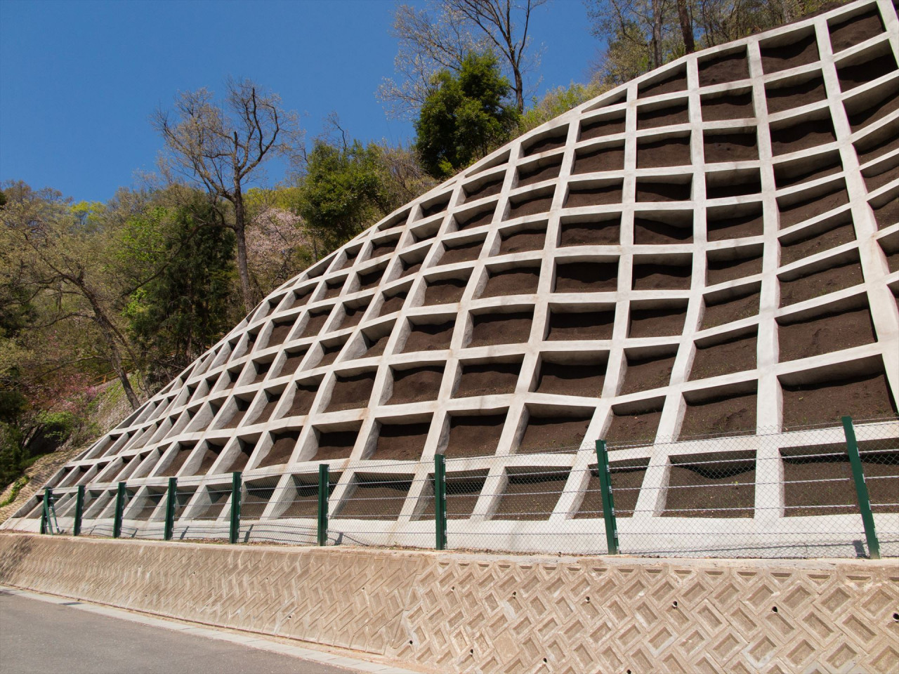 足場に上っている人